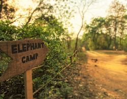 Tigertops Elephant Camp Dış Mekan
