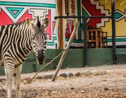 Timbavati Safari Lodge Dış Mekan