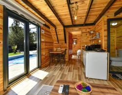 Tiny House With Private Pool Close to Lycian Way Oda