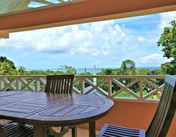 Tobago Hibiscus Villas and Apartments Oda Manzaraları