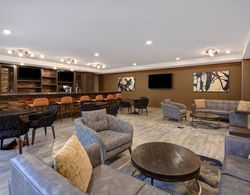 TownePlace Suites by Marriott Las Vegas Airport South Genel
