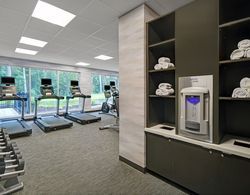 Towneplace Suites By Marriott Norfolk Fitness