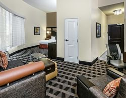 TownePlace Suites by Marriott San Antonio Downtown Genel
