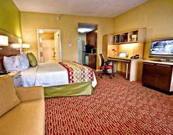 TownePlace Suites Savannah Airport Genel