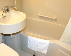 Toyoko Inn Omiya-eki Higashi-guchi Banyo Tipleri