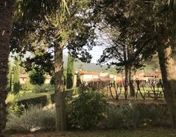 Traditional Tuscan Farmhouse in Lucca With Private Pool İç Mekan