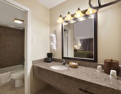 Travelodge by Wyndham New Orleans West Harvey Hotel Banyo Tipleri