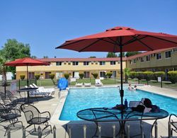 Travelodge Red Bluff Havuz