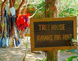 Tree House Bungalows Resort Genel