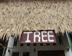 Tree Siem Reap Apartments Dış Mekan