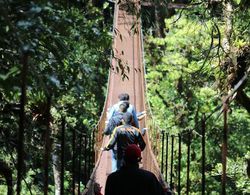 Tree Trek Boquete Adventure Park Genel
