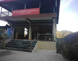 Hotel Trishul Regency Dış Mekan
