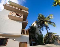 Tropic Tree Hotel Maldives Dış Mekan