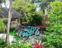 Tropical Breeze Resort Genel