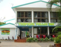 Tropical Palms Resort Genel
