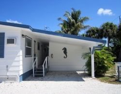 Tropical Winds Motel & Cottages Genel