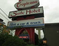 Tropicana Suite Hotel Dış Mekan