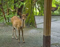 Tsukihitei Ryokan Dış Mekan