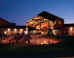 Tundra Lodge Resort Genel