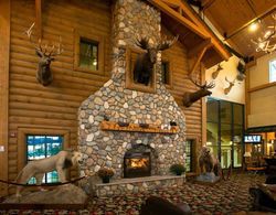 Tundra Lodge Resort Genel