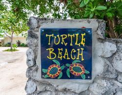 Turtle Beach Dış Mekan