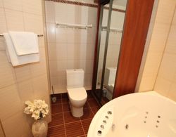 TVST Apartments Begovaya Banyo Tipleri