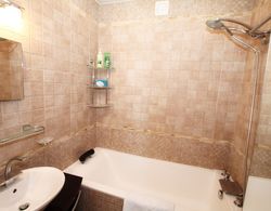 TVST Apartments Gasheka 9 Banyo Tipleri