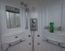 TVST Apartments Kamergerskiy Pereulok Banyo Tipleri