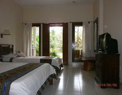 Ubud Inn Resort Genel