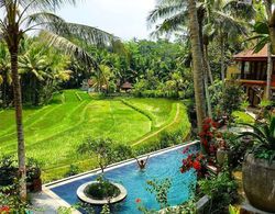 Umasari Rice Terrace Villa Öne Çıkan Resim