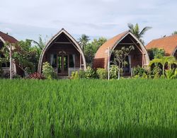Umma Bali Menjangan Dış Mekan
