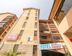 Upperhill Blueberry Hotel Öne Çıkan Resim