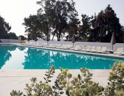 Urban Valley Resort & Spa Havuz
