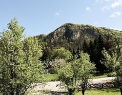 Urlaub am Bauernhof Feldbauer Dış Mekan