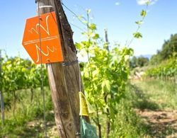 Valdonica Winery & Vineyard Residence Genel