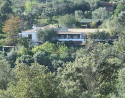 Vale Fuzeiros Nature Guest House Dış Mekan