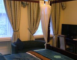 Valentine City Centre Guest House Genel