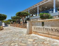 Vasia Ormos Hotel Genel