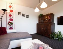 Very Bright, Friendly Apartment With Large Roof Terrace Oda Düzeni