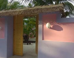 Veyvah Inn Maldives Dış Mekan
