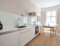 Vienna Residence Lucious Business Apartment for 2 Near the Medical University Mutfak