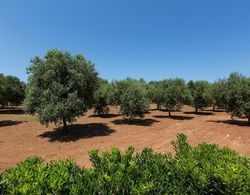 Villetta di Paulo Dış Mekan