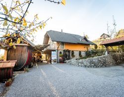 Vineyard Cottage Bregac Dış Mekan