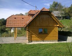 Vineyard cottage Janko in Metka Dış Mekan