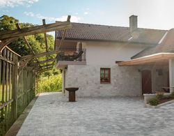 Vineyard cottage Radulja Dış Mekan