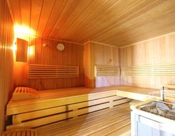 Vintage Apartment With Sauna in Hopfgarten Spa