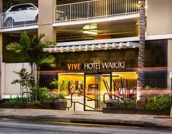 Vive Hotel Waikiki Genel