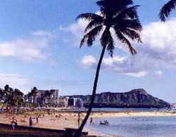 Waikiki Beach Condominiums Genel
