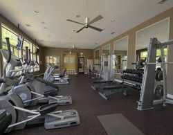 Waterfront Modern Studio Rooftop Views Fitness