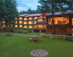 Welcomhotel by ITC Hotels, Pine N Peak, Pahalgam Öne Çıkan Resim